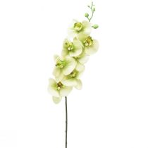 Article Orchidée Artificielle Jaune Vert Phalaenopsis L83cm