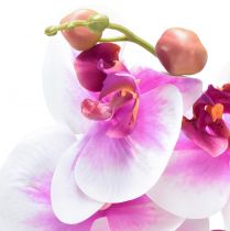 Article Orchidée Phalaenopsis Artificielle 4 Fleurs Blanc Rose 72cm