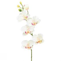 Article Orchidée Phalaenopsis artificielle 6 fleurs rose crème 70cm