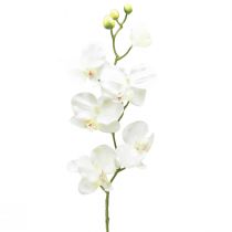 Orchidée Phalaenopsis artificielle 6 fleurs blanc crème 70cm
