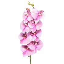 Article Orchidée Phalaenopsis artificielle 8 fleurs rose 104cm