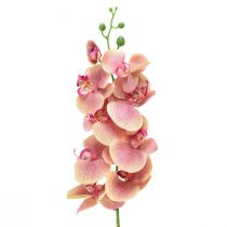 Orchidée Phalaenopsis artificielle 9 fleurs rose vanille 96cm