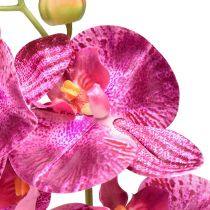 Article Orchidée flammée artificielle Phalaenopsis violette 72cm