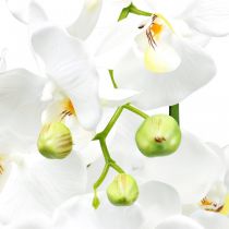 Orchidées artificielles pour le pot blanc 80cm