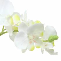 Orchidées blanches en pot plante artificielle H35cm