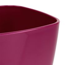 Article Pot à orchidées brillant Ø12,5cm cerise, 1pièce