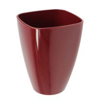 Article Pot à orchidées brillant Ø12,5cm Bordeaux 1 pce