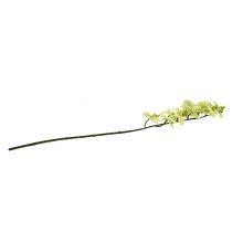 Article Branche d'orchidée vert clair L58cm
