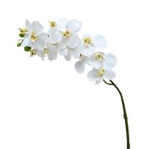 Branche d’orchidée blanche L 58 cm