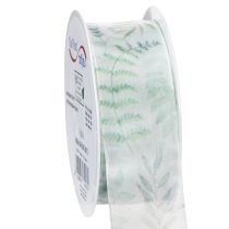 Article Ruban d'organza, ruban de mousseline, branches feuillues, vert, 40 mm, 15 m