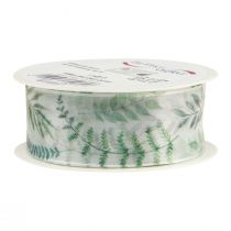 Article Ruban organza ruban mousseline feuilles branches vert 40mm 15m