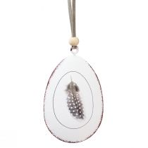 Article Oeufs de Pâques à suspendre Oeufs décoratifs à suspendre décoration métal 5×7cm 8 pcs