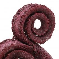 Article Cornes de palmier mâle Rouge bordeaux, blanchi 25 pièces