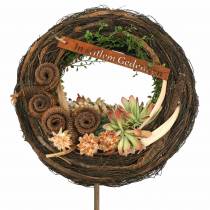 Article Cornes de palmier mâle déco Blanchies 6-14cm 25 pièces