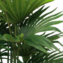 Article Palmier décoratif éventail palmier plantes artificielles pot vert 80cm