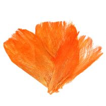 Fibre de palmier 400 g orange clair / pastel