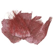 Article Fibre de palmier pour l&#39;artisanat Bordeaux blanchi 20-40cm 250g