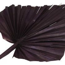 Article Palmspear Feuilles de palmier Fuchsia Berry, blanchi 65pcs