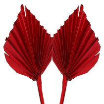Article Palmspear Rouge 65 pcs