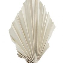 Article Palmspear Mini Blanc Délavé 100 pièces