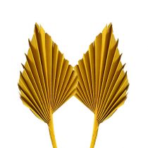Article Palmspear mini jaune 100 pcs