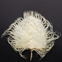 Article Feuilles de palmier séchées décoratives blanchies 45 cm 5 pièces