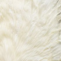 Article Feuilles de palmier séchées décoratives blanchies 45 cm 5 pièces