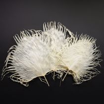 Article Feuilles de palmier séchées et décoratives blanchies, 45 cm, 5 pièces