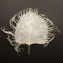 Article Feuilles de palmier séchées décoratives blanchies 45 cm 5 pièces