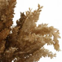 Herbe de pampa artificielle marron décoration sèche herbe ornementale 35cm 4pcs