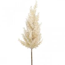 Pampas Herbe Crème Artificielle Sec Floristique Déco Herbe 72cm