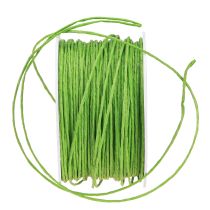 Article Cordon papier enroulé Ø2mm 100m vert pomme
