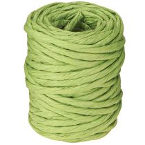 Article Cordon décoratif vert en papier sans fil largeur 6 mm 23 m
