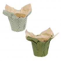Pot en papier avec motif vert-blanc Ø9.5cm 12pcs