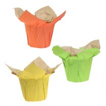 Pots en papier vert, orange, jaune Ø10cm 12pcs