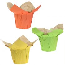 Pots en papier vert, orange, jaune Ø12cm 12pcs