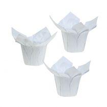 Jardinières en papier blanc Ø8cm 12pcs