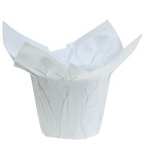 Jardinières en papier blanc Ø8cm 12pcs