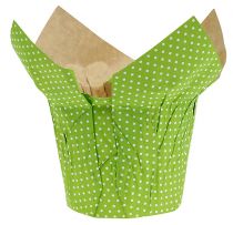 Pot en papier Ø10cm H8cm vert 8pcs
