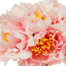 Article Paeonia Pivoine Fleur Artificielle Pivoine Rose Ø6cm 28cm 7 pcs