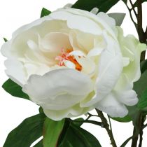 Article Paeonia artificielle, pivoine en pot, plante décorative fleurs blanches H57cm