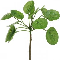 Peperomia Plante verte artificielle avec feuilles 30cm