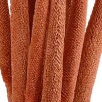Article Epis de millet perle déco Mil à chandelle Orange 70cm 10pcs