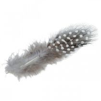 Article Plumes de Pintade Naturelles 10g Beige et Brun