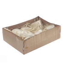 Article Coquillages en Nacre Poli - Décoration Marine 5-6 cm (Lot de 6)