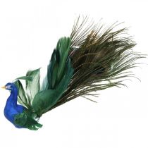Oiseau de paradis, paon à pincer, oiseau plume, décoration oiseau bleu, vert, coloré H8.5 L29cm