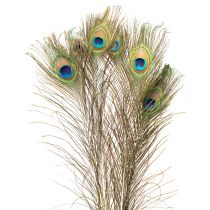 Article Plumes de paon décoratives, véritables plumes d&#39;oiseaux, longues de 75 à 85 cm, 8 pièces