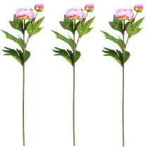 Article Pivoines Fleurs Artificielles à Longue Tige Rose 70cm 3pcs
