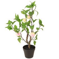 Article Pêcher en pot avec 4 fruits Artificiel H53cm