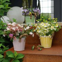 Seau à planter, jardinière avec anses, décoration métal rose/vert/jaune shabby chic Ø16,5 cm H15 cm lot de 3